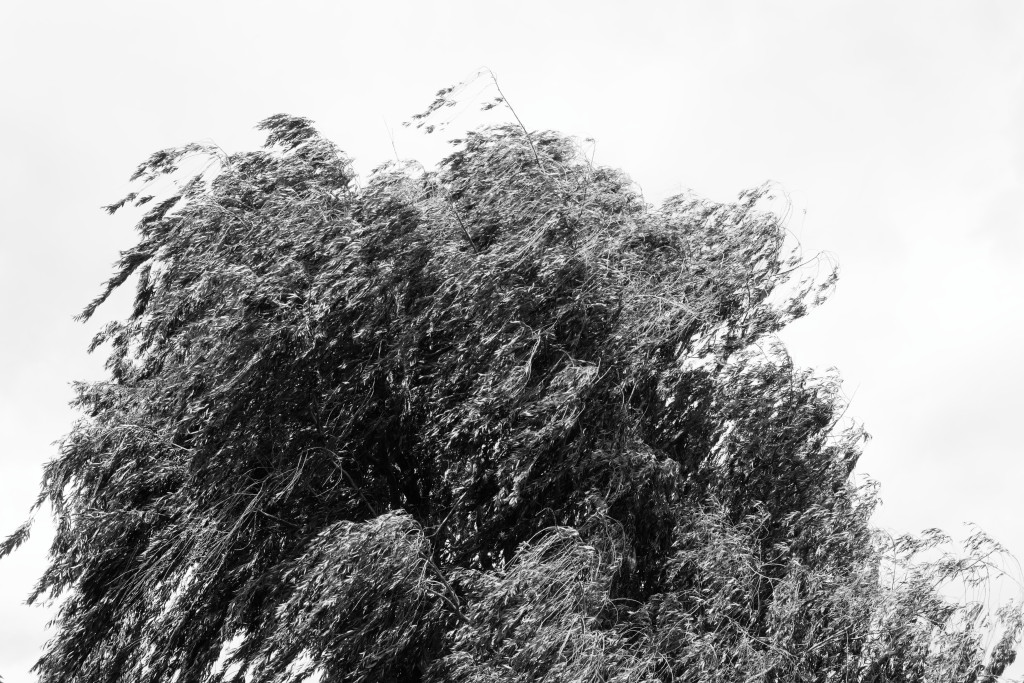Scene 3
